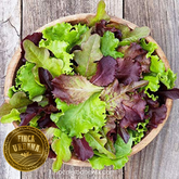 Lechugas mixtas orgánicas (1 pza)